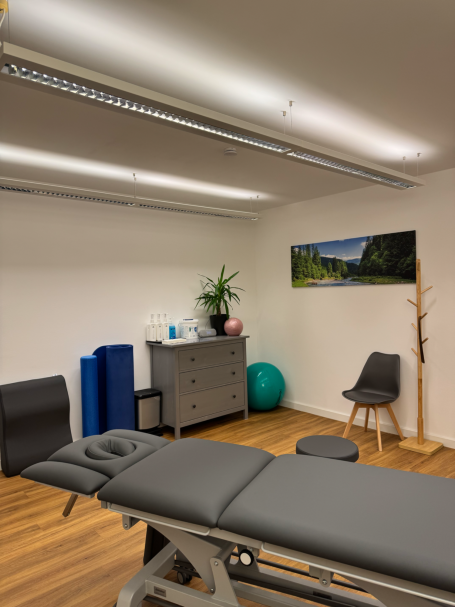 Behandlungsraum mit Therapieliege, Stuhl, Pflanzen und Fitnessball. Hell und modern eingerichtet.